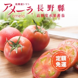 Dr. Fruits 日本 長野縣 Amela 高糖度水果蕃茄 1 盒