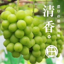 Aplex 日本山梨香印青提子 (麝香葡萄)