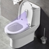 Picture of MAHATON Toilet sterilizer