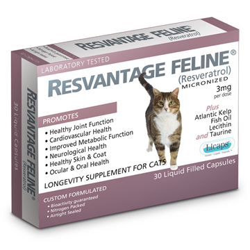 Resvantage 维芦醇 猫用白藜芦醇 30粒装