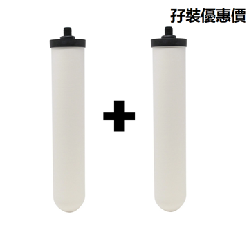 圖片 Doulton 道爾頓 Ultra Carb UCC 9504 10吋 矽藻瓷濾芯 (2 支組合價)  [原廠行貨]