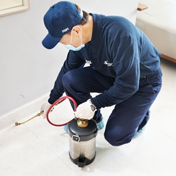 Picture of Professional Pest Control Service