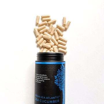 Picture of Nova Sea Atlantic Sea Cucumber 120 Capsules