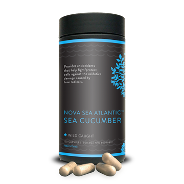 Picture of Nova Sea Atlantic Sea Cucumber 120 Capsules