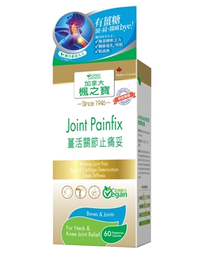 Picture of Adrien Gagnon Joint Painfix 60 Vegetarian Capsules