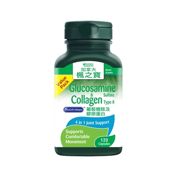 Picture of Adrien Gagnon Glucosamine + Collagen 120 Capsules