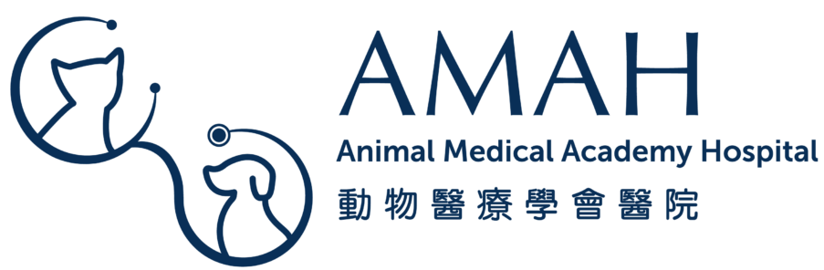 Animal Medical Academy Hospital